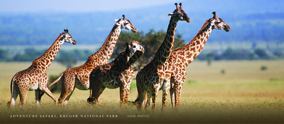 Lebombo Falls Lodge, Kruger National Park